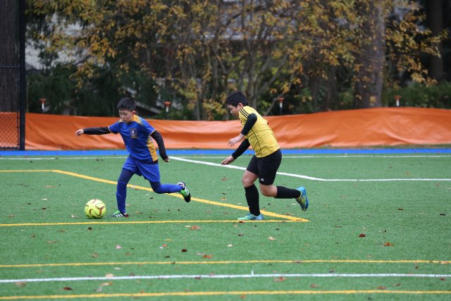 Vlad Final Soccer Match 11/11
(Click on the picture for the full-size version)