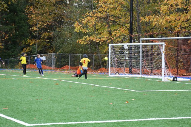 Vlad Final Soccer Match 11/11
(Click on the picture for the full-size version)