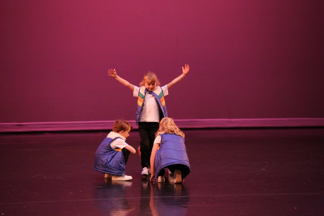 Radu @ IDT Dance Recital 1/20
(Click on the picture for the full-size version)