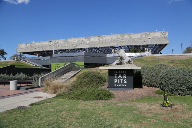 LaBrea Tar Pits, 2/21
(Click on the picture for the full-size version)