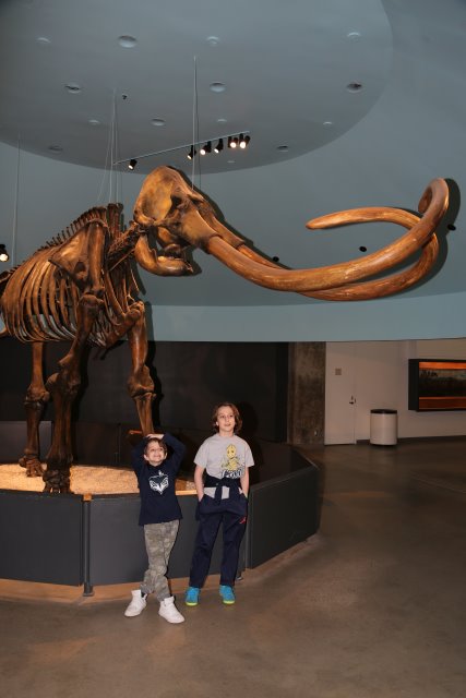 LaBrea Tar Pits, 2/21
(Click on the picture for the full-size version)