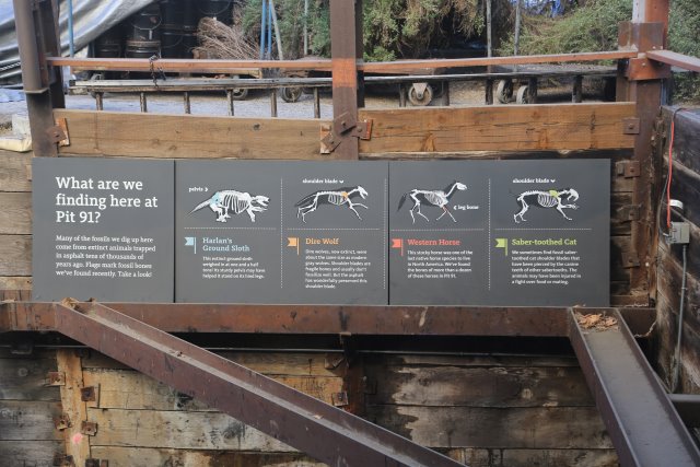 LaBrea Tar Pits, 2/21
(Click on the picture for the full-size version)