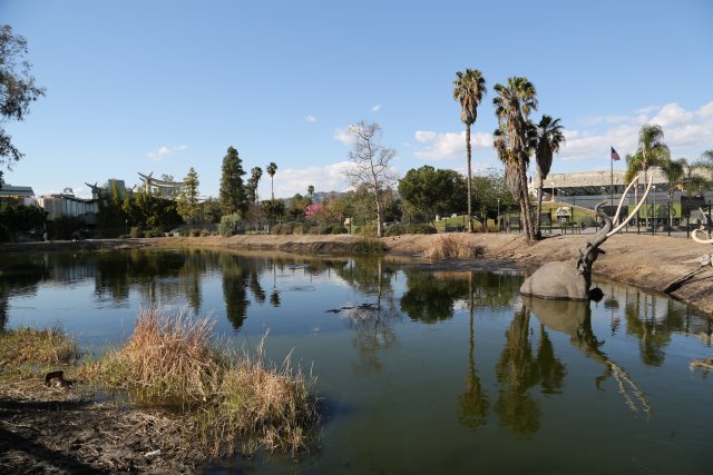 Alin Constantin's Photography - LaBrea Tar Pits, 2/21
(Click on the picture for the full-size version)