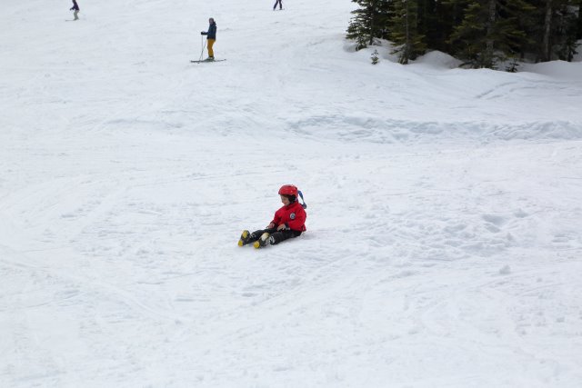 Last ski day and Powederpigs Snake, 3/18
(Click on the picture for the full-size version)