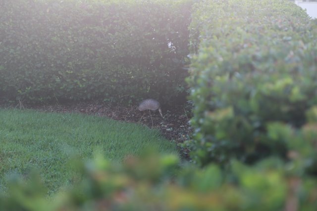 Orlando, Ignite 2018
(Click on the picture for the full-size version)