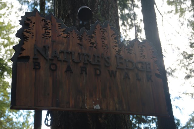 Capilano suspension bridge, 2/24
(Click on the picture for the full-size version)