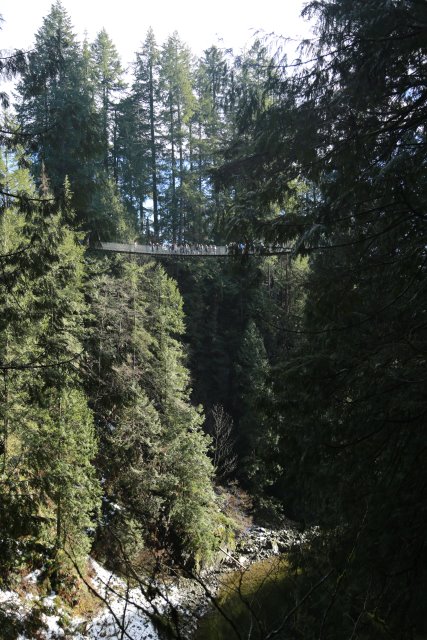 Capilano suspension bridge, 2/24
(Click on the picture for the full-size version)