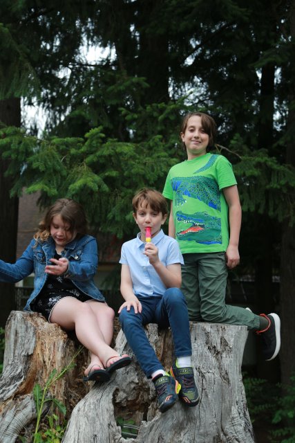 Radu graduation, 6/20
(Click on the picture for the full-size version)