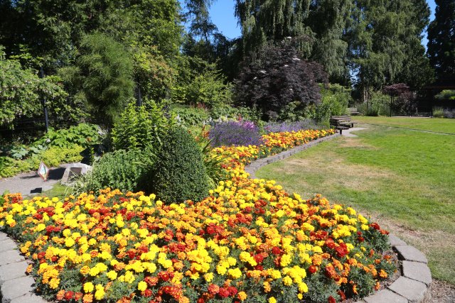Tacoma Point Defiance Zoo, 6/30
(Click on the picture for the full-size version)