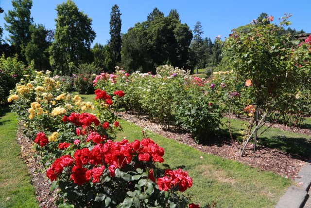 Tacoma Point Defiance Zoo, 6/30
(Click on the picture for the full-size version)