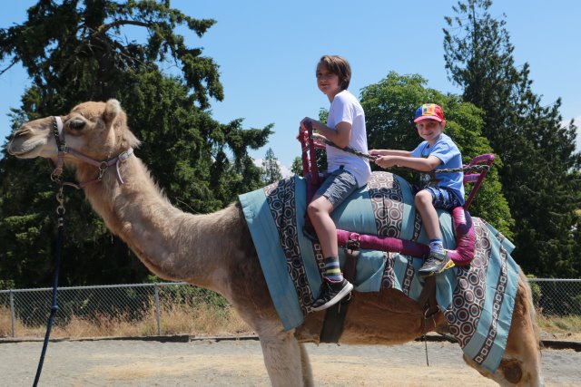 Tacoma Point Defiance Zoo, 6/30
(Click on the picture for the full-size version)