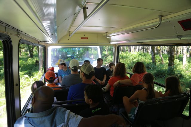 At Northwest Trek, 7/21
(Click on the picture for the full-size version)