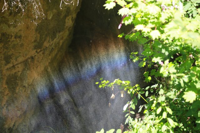 At Northwest Trek, 7/21
(Click on the picture for the full-size version)