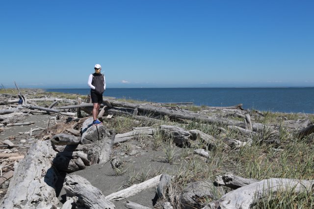 Alin Constantin's Photography - At Dungeness Spit, 7/18
(Click on the picture for the full-size version)