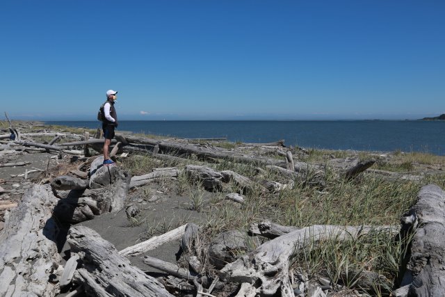 At Dungeness Spit, 7/18
(Click on the picture for the full-size version)