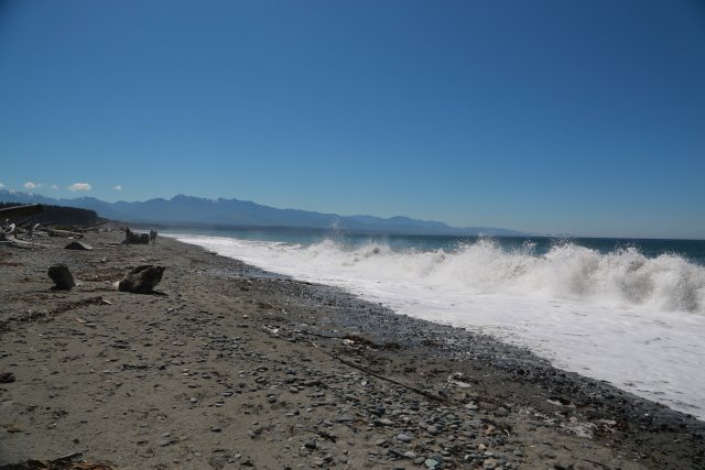 At Dungeness Spit, 7/18
(Click on the picture for the full-size version)