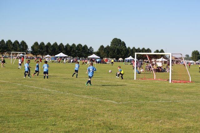 Skagit Firecracker soccer cup, 6/26
(Click on the picture for the full-size version)