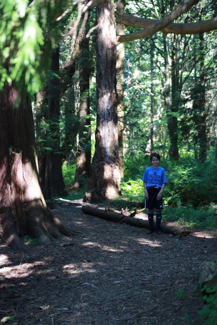 Alin Constantin's Photography - Skagit Firecracker soccer cup, 6/26
(Click on the picture for the full-size version)