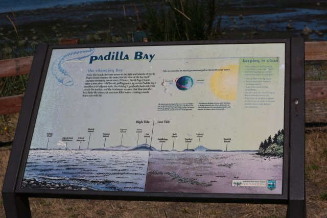 Skagit Firecracker soccer cup, 6/26
(Click on the picture for the full-size version)