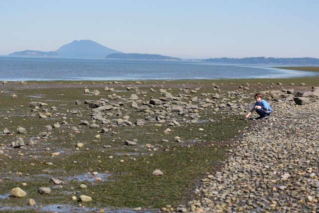Skagit Firecracker soccer cup, 6/26
(Click on the picture for the full-size version)