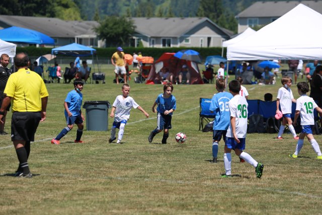 Skagit Firecracker soccer cup, 6/26
(Click on the picture for the full-size version)