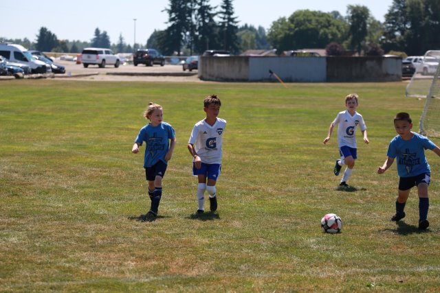 Skagit Firecracker soccer cup, 6/26
(Click on the picture for the full-size version)