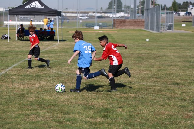 Skagit Firecracker soccer cup, 6/26
(Click on the picture for the full-size version)