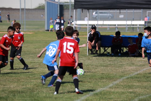 Skagit Firecracker soccer cup, 6/26
(Click on the picture for the full-size version)