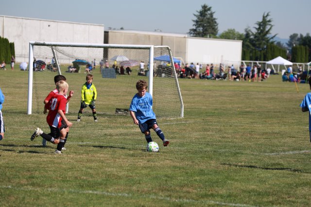 Skagit Firecracker soccer cup, 6/26
(Click on the picture for the full-size version)