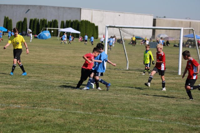 Skagit Firecracker soccer cup, 6/26
(Click on the picture for the full-size version)