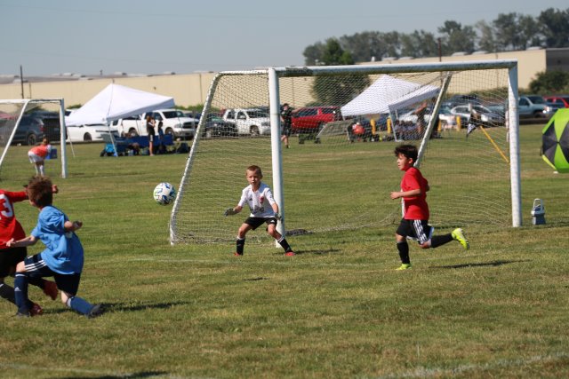 Skagit Firecracker soccer cup, 6/26
(Click on the picture for the full-size version)