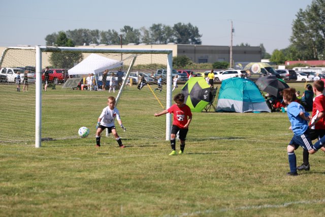 Skagit Firecracker soccer cup, 6/26
(Click on the picture for the full-size version)