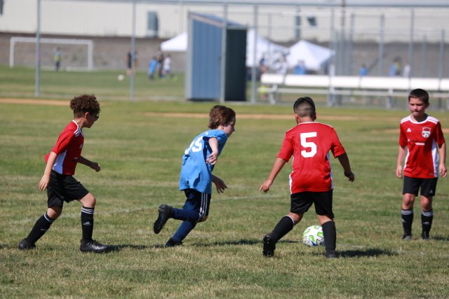 Skagit Firecracker soccer cup, 6/26
(Click on the picture for the full-size version)