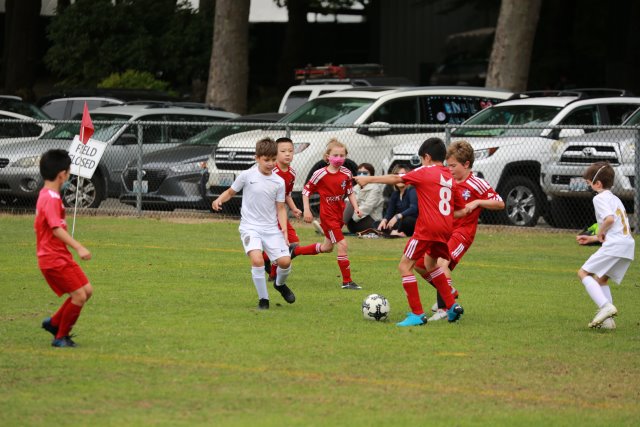 Starfire soccer cup, 7/16
(Click on the picture for the full-size version)