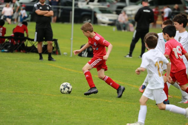 Starfire soccer cup, 7/16
(Click on the picture for the full-size version)