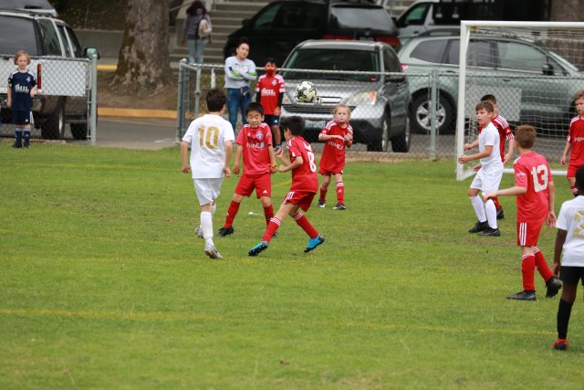Starfire soccer cup, 7/16
(Click on the picture for the full-size version)
