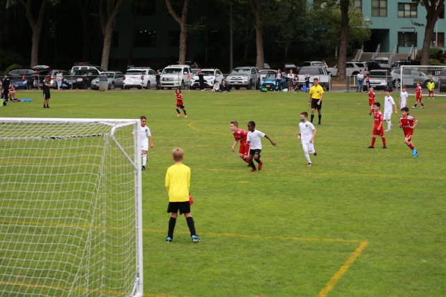 Starfire soccer cup, 7/16
(Click on the picture for the full-size version)