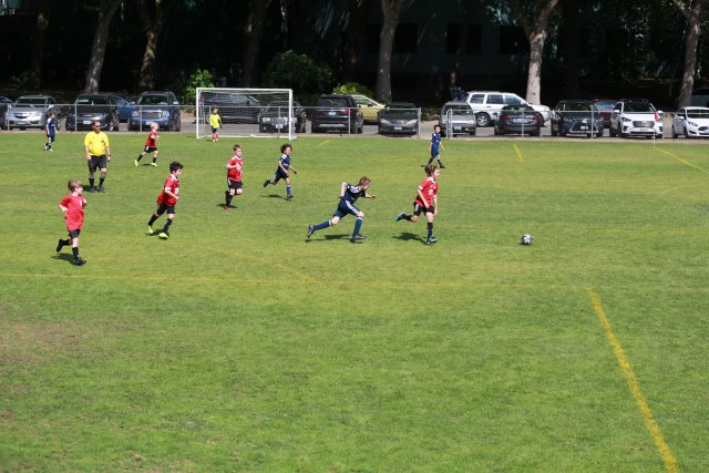Starfire soccer cup, 7/16
(Click on the picture for the full-size version)