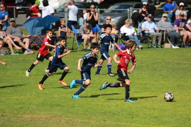 Starfire soccer cup, 7/16
(Click on the picture for the full-size version)