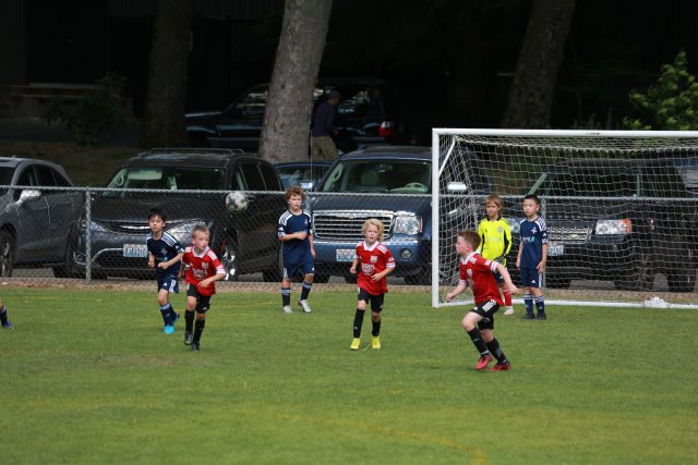 Starfire soccer cup, 7/16
(Click on the picture for the full-size version)