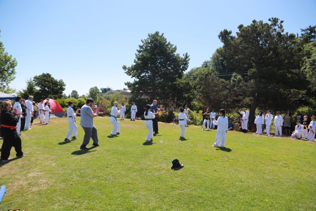 Alin Constantin's Photography - GKA Karate picnic, 7/18
(Click on the picture for the full-size version)