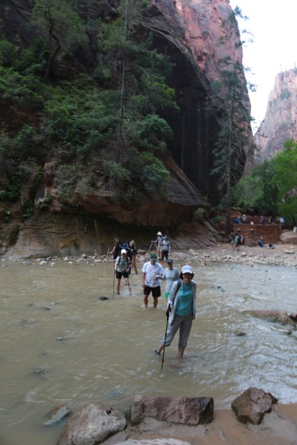 Alin Constantin's Photography - In Zion Narrows
(Click on the picture for the full-size version)