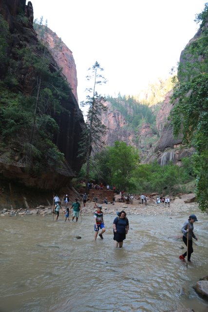In Zion Narrows
(Click on the picture for the full-size version)