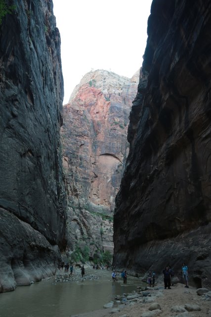 In Zion Narrows
(Click on the picture for the full-size version)
