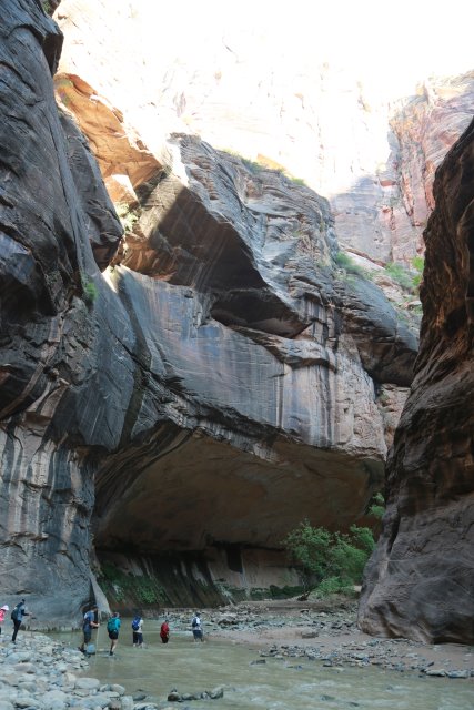 In Zion Narrows
(Click on the picture for the full-size version)