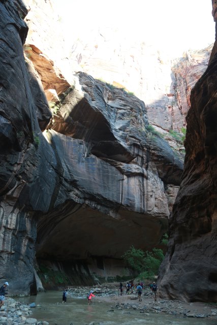 Alin Constantin's Photography - In Zion Narrows
(Click on the picture for the full-size version)