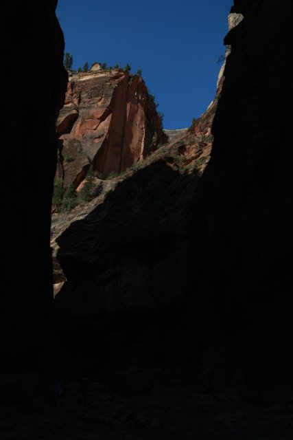 In Zion Narrows
(Click on the picture for the full-size version)